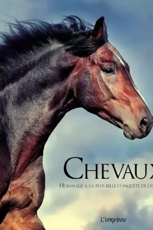 Nouvel Arrivage Chevaux - Hommage à la plus belle conquête de l'homme - L'imprévu