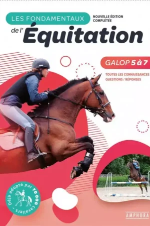 Les fondamentaux de l'équitation Galops 5 à 7 - Amphora Commande En Gros