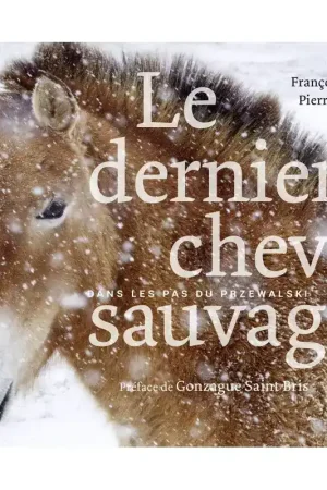 Petit Prix Le dernier cheval sauvage - Belin