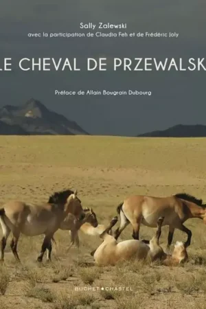Prix Cassé Le cheval de Przewalski - Buchet Chastel