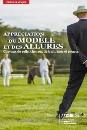 Dernière Chance Appréciation des chevaux, poneys et ânes - IFCE