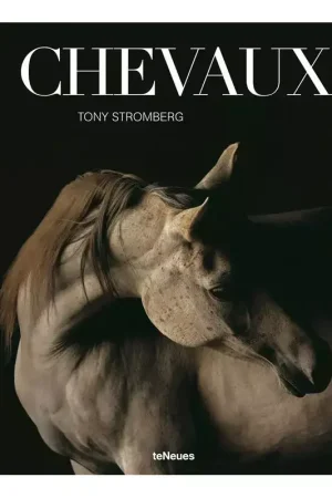 Vente Directe Chevaux - Teneues