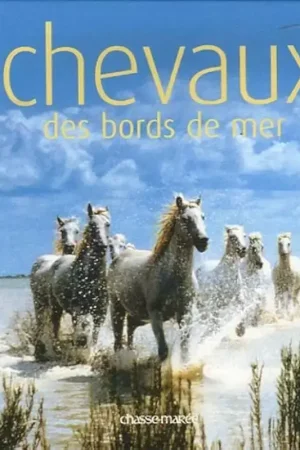 Chevaux des bords de mer - Chasse Marée Bon Plan