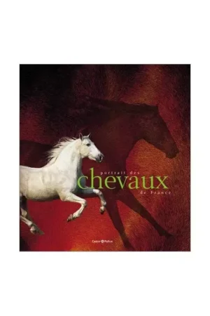 Paiement Sécurisé Portrait des chevaux de France - Castor Pollux