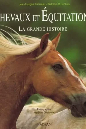 Soldes Chevaux et équitations La grande histoire - Nathan