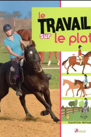 Le travail sur le plat - Artemis Offre Spéciale