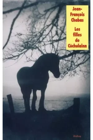 Les filles de cùchulainn - Medium Poche Super Prix