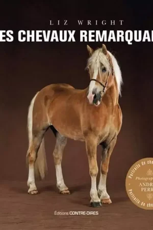 Dernier Modèle Des chevaux remarquables - Contre dires