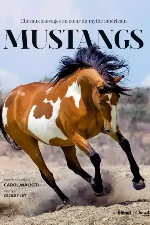 Mustangs - Glenat Nouveauté
