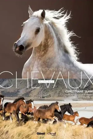 A la rencontre des chevaux du monde - Glénat Usine Directe