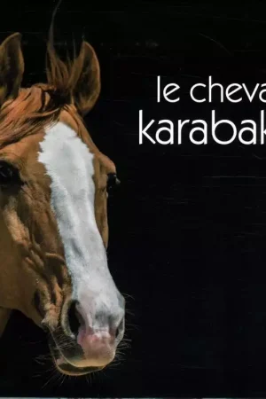 Dernière Chance Cheval Karabakh - Favre