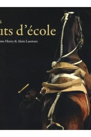 Super Prix Les sauts d'école - Belin