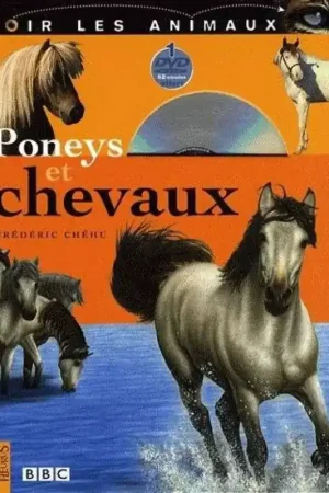 Poneys et chevaux - Fleurus Bon Marché