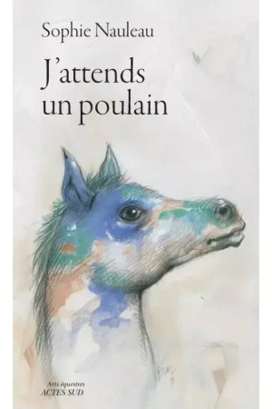 J'attends un poulain - Acte Sud Livraison Express