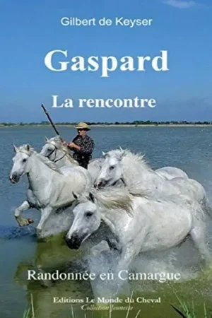 Dernière Chance Gaspard Tome 2 : La rencontre - Editions le Monde du Cheval