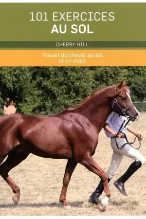 Expédié Aujourd'hui 101 exercices au sol, Travail du cheval au sol et en main - Vigot