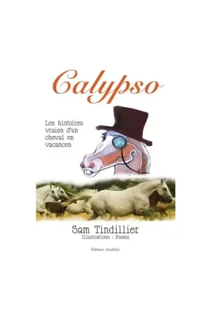 Super Prix Calypso, les histoires vraies d'un cheval en vacances