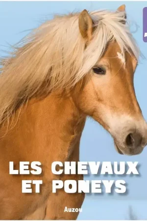 Chevaux et poneys : Mon premier animalier - Auzou Soldes