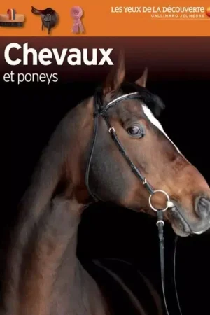 Commander Maintenant Chevaux et poneys - Gallimard jeunesse