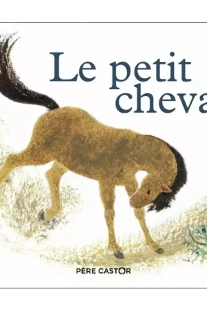Offre Du Jour Le Petit Cheval et le vieux chameau - Père Castor