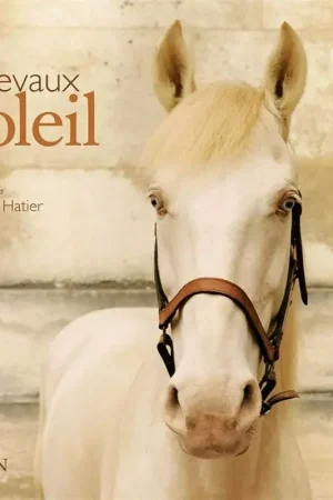 Chevaux Soleil - Belin Dernière Chance