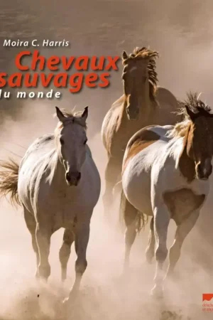 Bon Plan Chevaux sauvages du monde