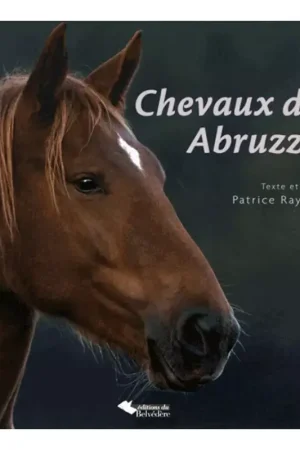 Chevaux des Abruzzes - Editions du Belvédère Certifié