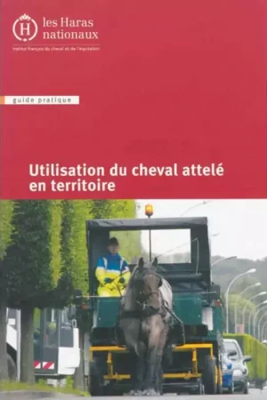 Remise Utilisation du cheval attelé en territoire - Ifce