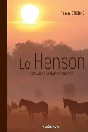 Le Henson - Cheval de la Baie de Somme - Lavauzelle Achat Immédiat