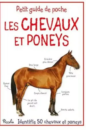 Les chevaux et poneys - Petit guide de poche - Piccolia Prix Cassé
