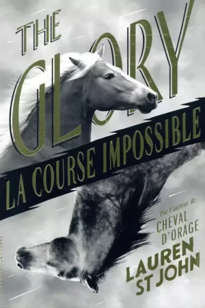 Réduction The Glory- Gallimard