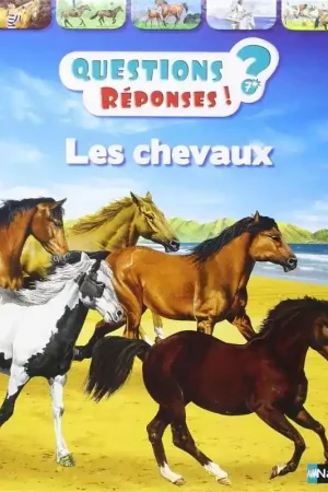 Vente Directe Questions/Réponses : Les chevaux - Nathan