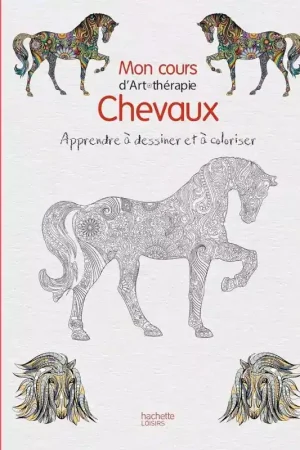 Commander Maintenant Mon cours d'art thérapie chevaux - Hachette