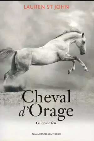 Commander Maintenant Cheval d'orage Tome 3 - Gallimard