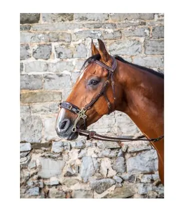 Bridon pour hackamore Dy'on Commander Maintenant