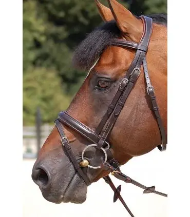 Réduction Bridon classic Dy'on working collection muserolle large pull back