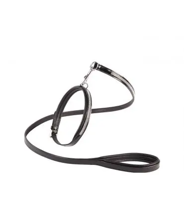 Vente Directe Collier et laisse pour chien Crystallized - Jaipur's Choice