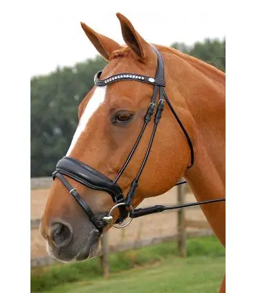 Réduction Bridon dressage muserolle combinée large Dy'on
