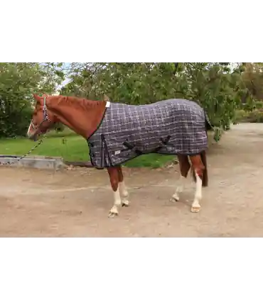 Promotion Saisonnière Chemise de box 0 GR - JMR violet pour shetland