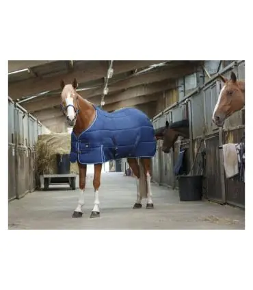 Couverture de box 300 gr - Riding World Réduction
