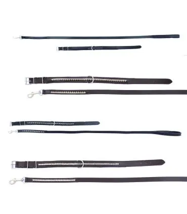 Vente Flash Collier et laisse en cuir pour chien JMR PRO