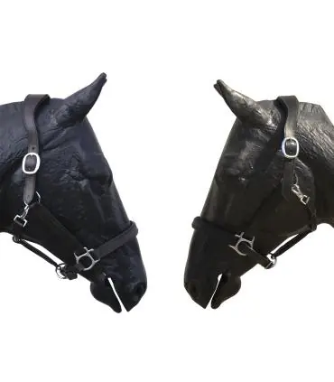 Expédition Rapide Licol Royal en cuir avec têtière ergonomique - JMR