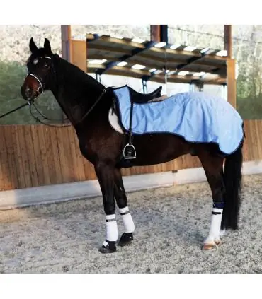 Prix Réduit Couvre-reins 3 en 1 bleu ciel - JMR