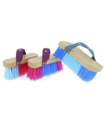 Brosse dure Magnet Brush - Hippotonic Expédié Aujourd'hui
