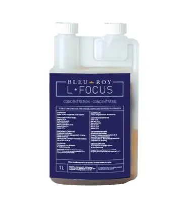 L-Focus, anti-stress naturel de chez Bleu Roy Achetez Aujourd'hui