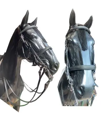 Affaire À Saisir Bride de dressage + rênes de chez JMR PRO