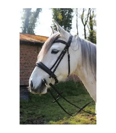 Dernier Modèle Bridon Shiny avec frontal et muserolle en crystal fabric - JMR PRO