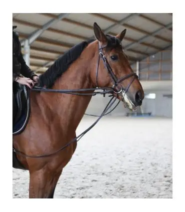 Prix Bas Rênes allemandes en cuir plat et attache ventrale amovible