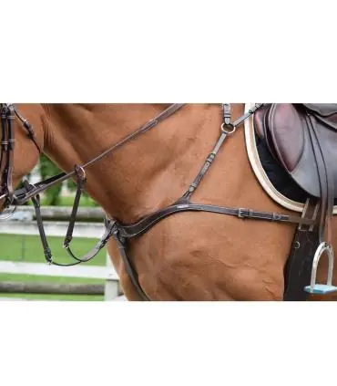 Vente Directe Collier de chasse cinq ponts et martingale - Jump'In