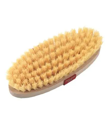Brosse à poils dure avec dos en bois Usine Directe